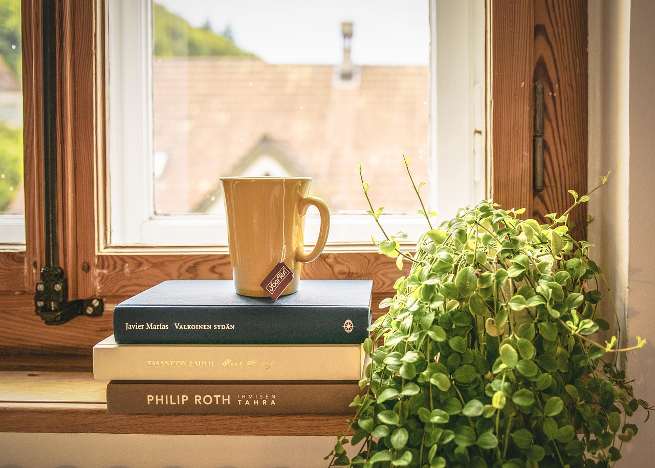Home book, read, tee, literature, window sill, houseplant, window frames, novel, home, apartment, cup, book, book, book, book, home, home, home, home, home, apartment